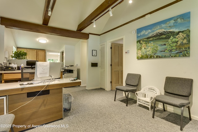 1131 Grand Ave, Glenwood Springs, CO 81601 - office area with light carpet and rail lighting