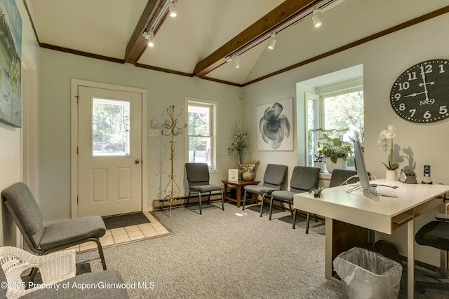 1131 Grand Ave, Glenwood Springs, CO 81601 - office featuring track lighting and carpet flooring