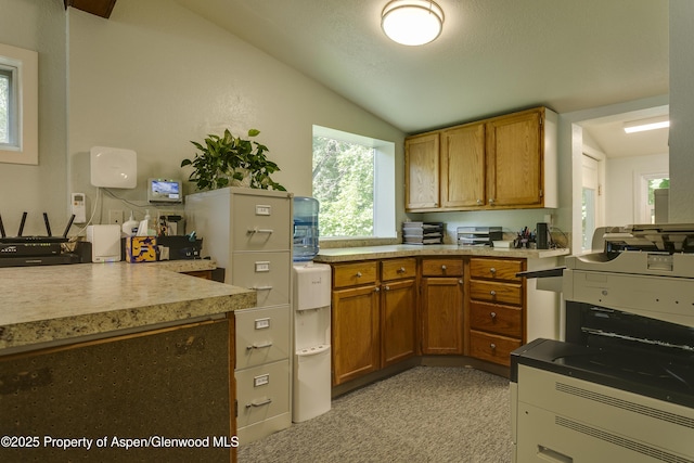 1131 Grand Ave, Glenwood Springs, CO 81601 - kitchen featuring lofted ceiling, healthy amount of natural light, brown cabinetry, and light countertops