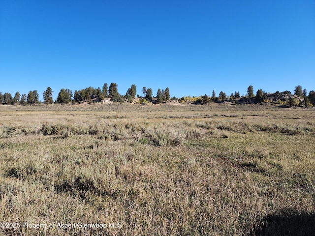 TBD Divide Rd Louie Pasture, Unit Louie Pasture, Whitewater, CO 81527 - photo 6