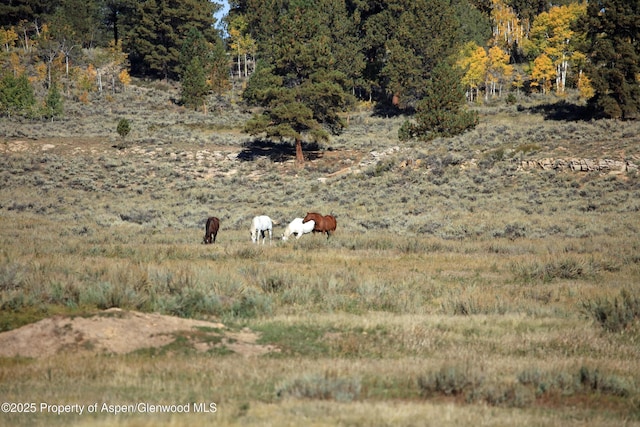 TBD Divide Rd Louie Pasture, Unit Louie Pasture, Whitewater, CO 81527 - photo 1