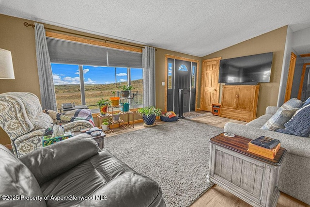 110 Western Ave, Craig, CO 81625 - living area featuring wood finished floors, vaulted ceiling, and a textured ceiling