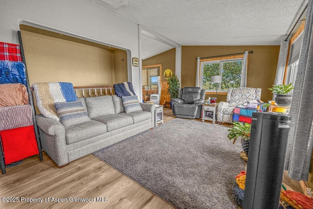 110 Western Ave, Craig, CO 81625 - living area featuring wood finished floors, vaulted ceiling, and a textured ceiling
