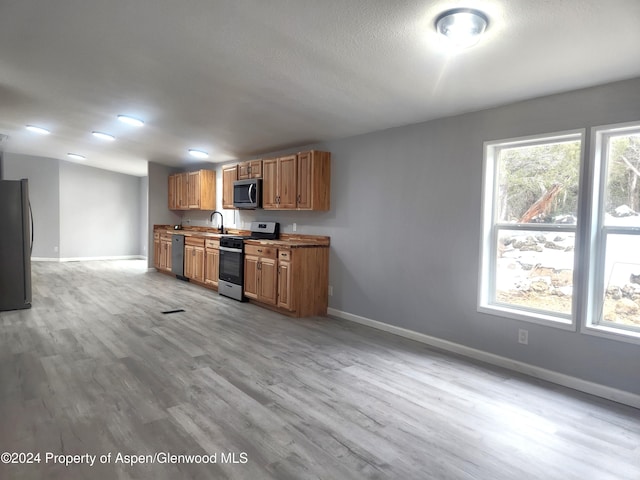 kitchen with appliances with stainless steel finishes, light hardwood / wood-style floors, and sink