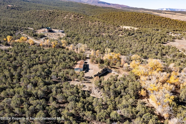 birds eye view of property featuring a mountain view