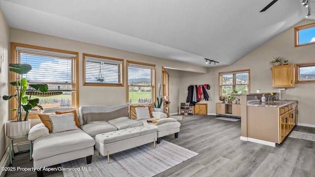 1000 Dolores Way Unit C, Carbondale, CO 81623 - living area featuring light wood-style floors, baseboards, a ceiling fan, lofted ceiling, and track lighting