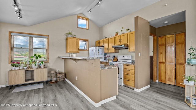 1000 Dolores Way Unit C, Carbondale, CO 81623 - kitchen with white appliances, track lighting, a peninsula, under cabinet range hood, and light wood-style flooring