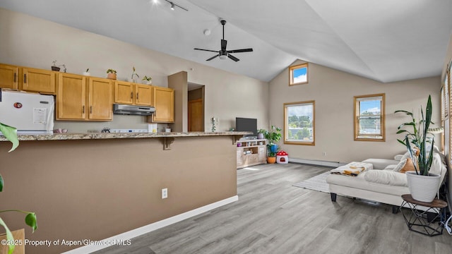 1000 Dolores Way Unit C, Carbondale, CO 81623 - kitchen with under cabinet range hood, open floor plan, refrigerator, a baseboard radiator, and light wood-style flooring