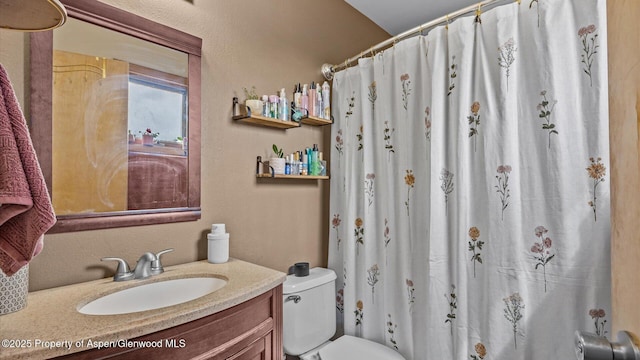 1000 Dolores Way Unit C, Carbondale, CO 81623 - full bath featuring vanity, toilet, and curtained shower