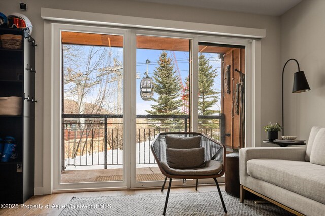 400 Wood Rd Unit 1118, Snowmass Village, CO 81615 - doorway with wood finished floors and a wealth of natural light