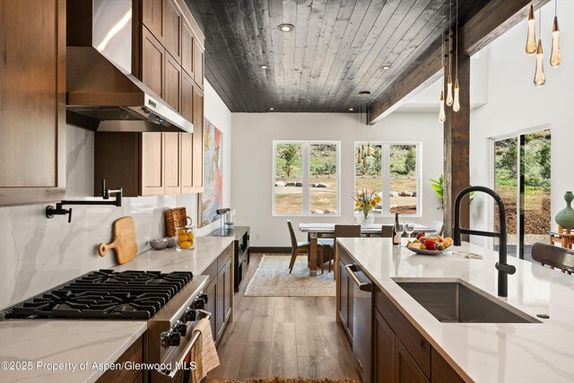 129 Sage Meadow Rd, Glenwood Springs, CO 81601 - kitchen featuring a healthy amount of sunlight, wall chimney range hood, light wood-type flooring, a sink, and appliances with stainless steel finishes