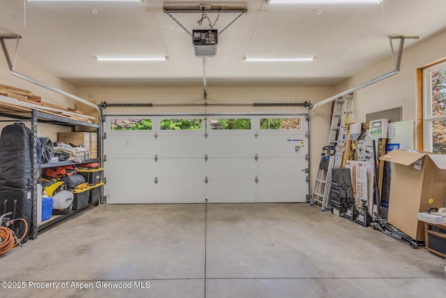 168 Current Dr, New Castle, CO 81647 - garage featuring a garage door opener