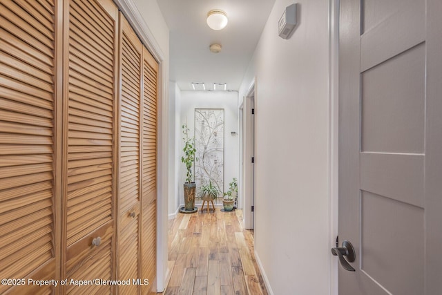 168 Current Dr, New Castle, CO 81647 - corridor featuring light wood-style flooring and baseboards