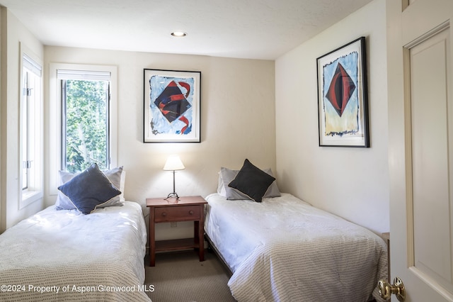 bedroom with carpet flooring