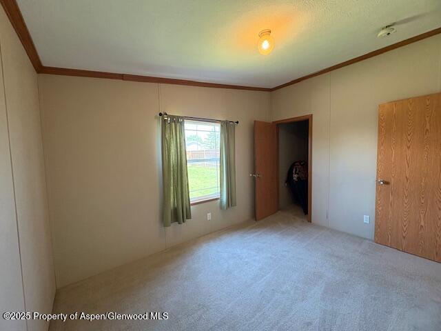 382 Mineral Springs Cir, Parachute, CO 81635 - photo 14