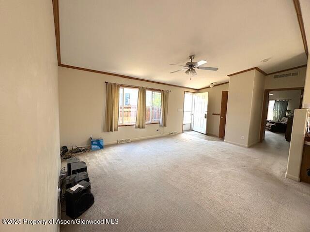 382 Mineral Springs Cir, Parachute, CO 81635 - photo 4