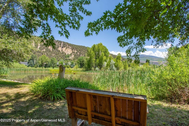 165 Dakota Meadows Dr, Carbondale, CO 81623 - photo 25