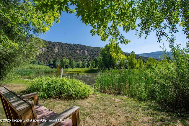 165 Dakota Meadows Dr, Carbondale, CO 81623 - photo 27