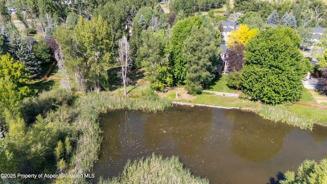165 Dakota Meadows Dr, Carbondale, CO 81623 - photo 28