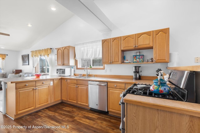 kitchen featuring stainless steel appliances, plenty of natural light, sink, dark hardwood / wood-style floors, and kitchen peninsula