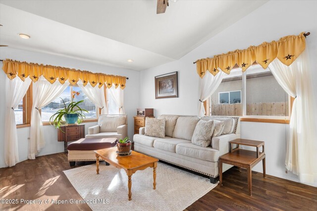 living room with dark wood-type flooring and lofted ceiling