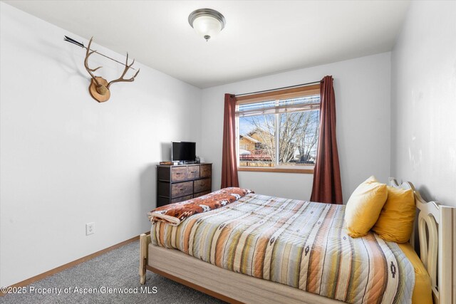 bedroom with carpet floors