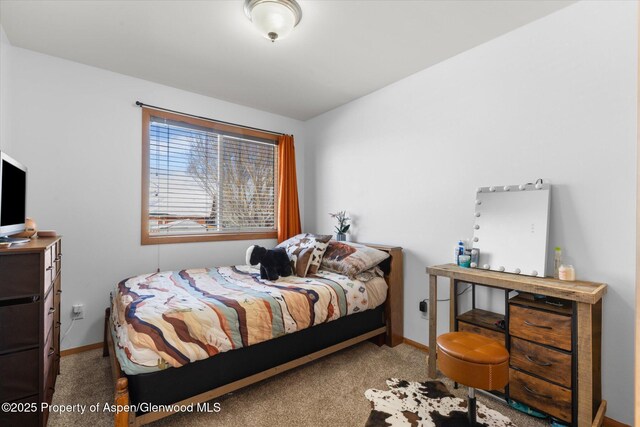 bedroom featuring carpet