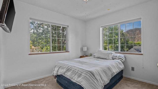 bedroom featuring light carpet