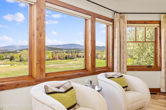 4034 Crystal Bridge Dr, Carbondale, CO 81623 - living area featuring a mountain view, wood finished floors, and baseboards