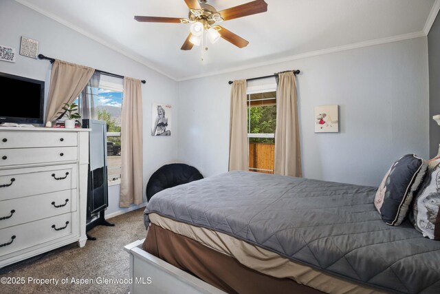 185 Estes Ln, Gypsum, CO 81637 - photo 21