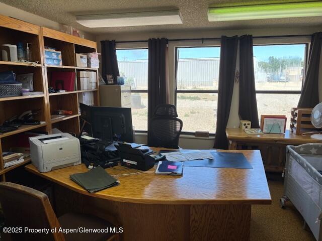 1598 N Yampa Ave, Craig, CO 81625 - home office featuring a textured ceiling