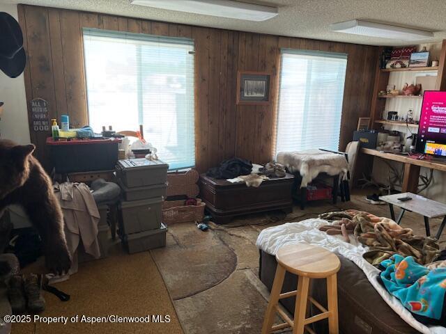 1598 N Yampa Ave, Craig, CO 81625 - home office with a textured ceiling, wooden walls, and healthy amount of natural light