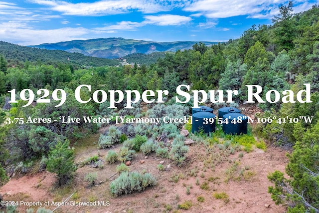 Listing photo 2 for 1929 Copper Spur Rd, Bond CO 80423