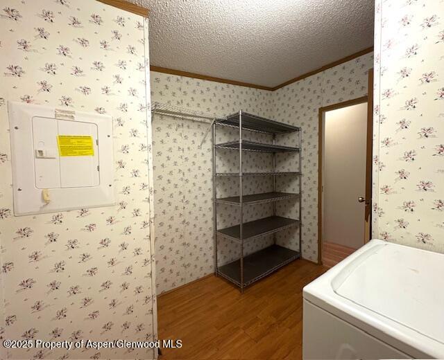 clothes washing area featuring electric panel, a textured ceiling, and wallpapered walls