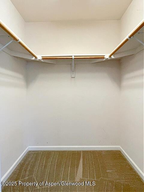 spacious closet featuring carpet flooring