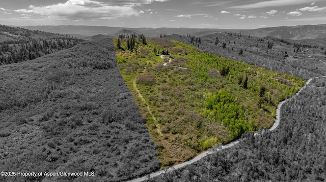 375 N Marsh Ln, Glenwood Springs, CO 81601 - drone / aerial view of mountains and a heavily wooded area