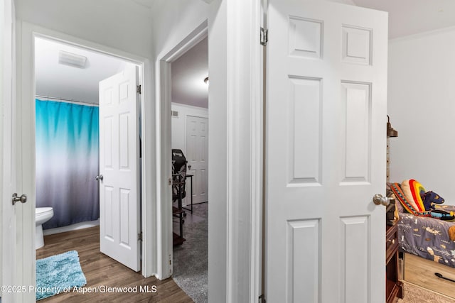 68 E Bonanza Pl, Parachute, CO 81635 - hall featuring wood finished floors and crown molding