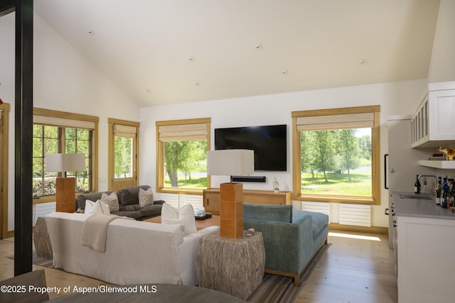 1207 Hooks Spur Rd, Basalt, CO 81621 - living area featuring light wood-type flooring, healthy amount of natural light, and high vaulted ceiling
