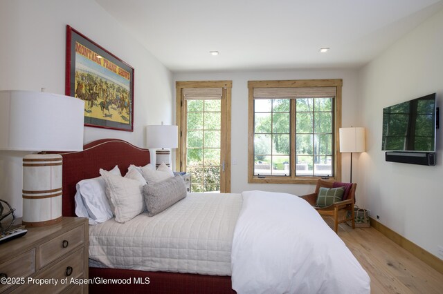 1207 Hooks Spur Rd, Basalt, CO 81621 - bedroom featuring wood finished floors and recessed lighting