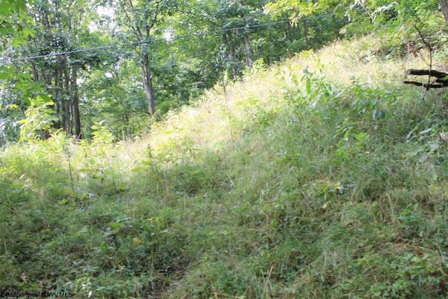 LOT7 High Mountain Rd, Harman WV, 26270 land for sale