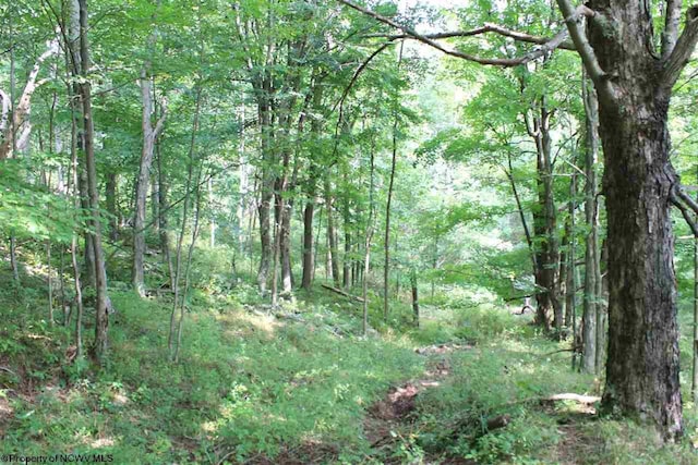 Listing photo 2 for LOT7 High Mountain Rd, Harman WV 26270