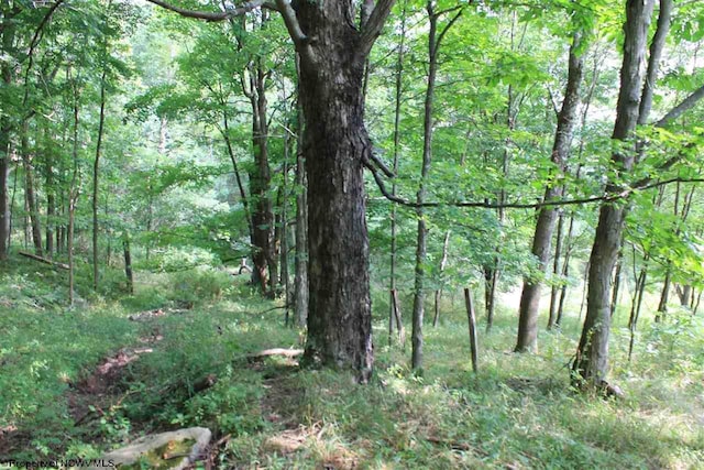 Listing photo 3 for LOT7 High Mountain Rd, Harman WV 26270