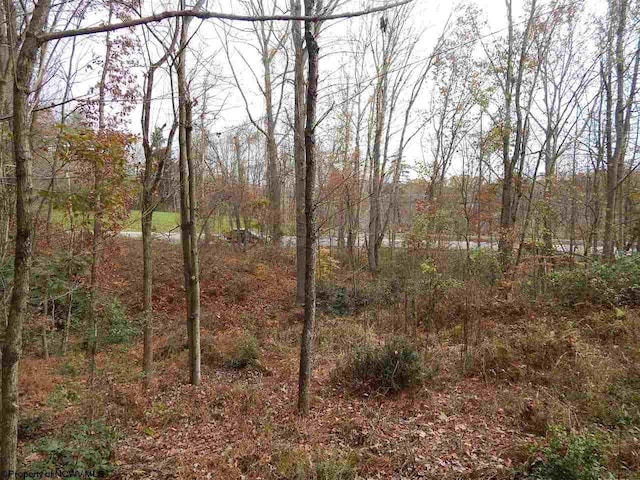 0 Fairmont Ave, Fairmont WV, 26554 land for sale