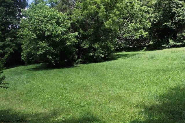 LOT4 Knapp St, Elkins WV, 26241 land for sale