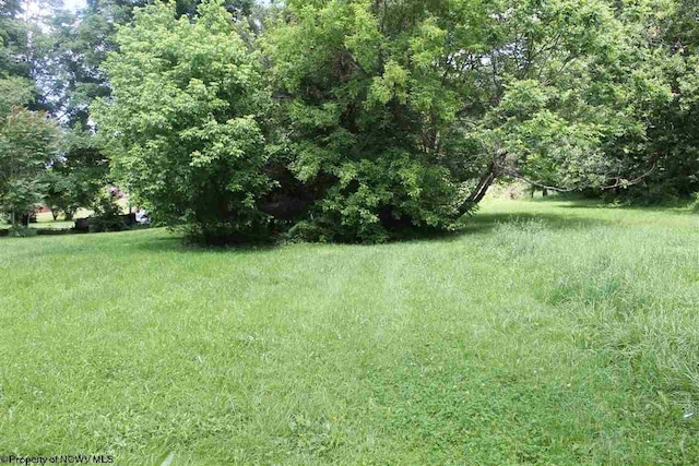 Listing photo 2 for LOT4 Knapp St, Elkins WV 26241