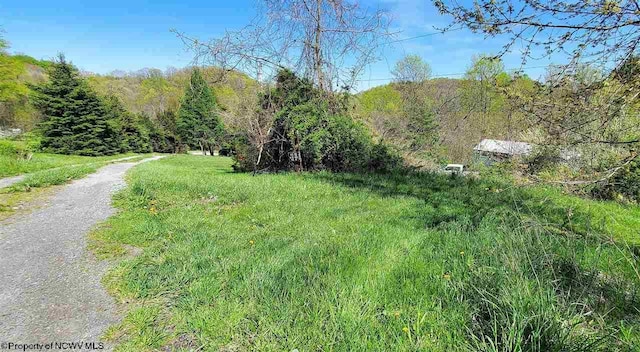 TBD Point Marion Rd, Morgantown WV, 26508 land for sale