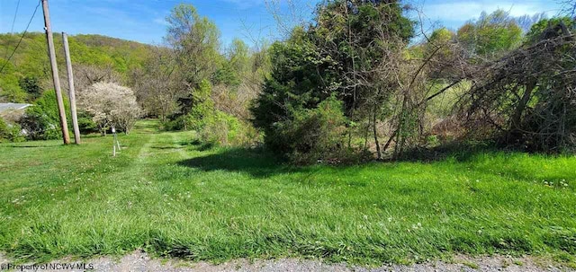 Listing photo 2 for TBD Point Marion Rd, Morgantown WV 26508