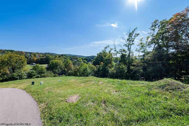 LOT8 Brookdale Dr, Morgantown WV, 26508 land for sale