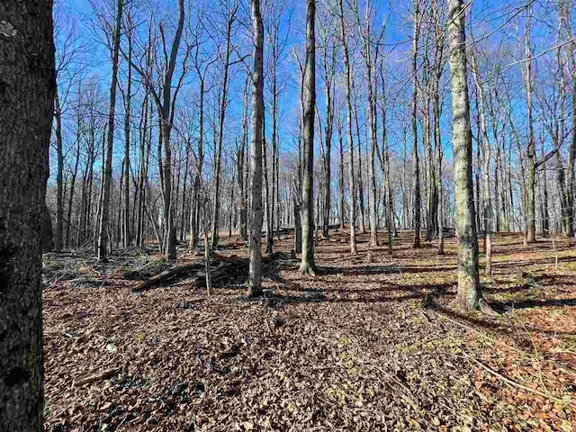 TBD Pup Run Rd, Fairmont WV, 26554 land for sale