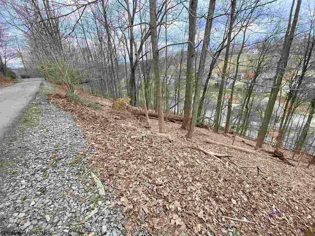 TBD Hickory Ridge Rd, Morgantown WV, 26508 land for sale